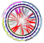 Ecophysiological Features Shape the Distribution of Prophages and CRISPR in Sulfate Reducing Prokaryotes.