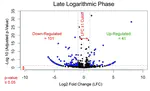 Lignin Induced Iron Reduction by Novel sp., Tolumonas lignolytic BRL6-1