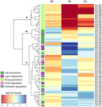 Multi-time series RNA-Seq analysis of Enterobacter lignolyticus SCF1 during growth in lignin-amended medium